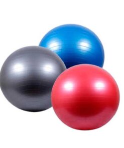 fitball-fisio